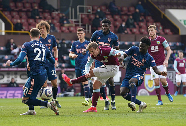 灰熊并不会 灰熊并不会